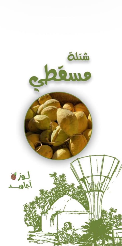 شتلة مسقطي