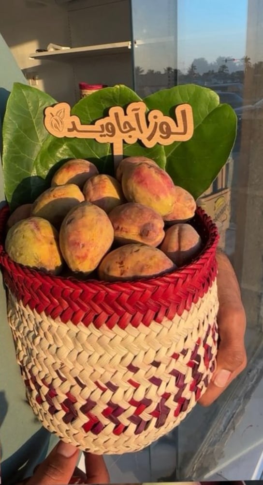 شتلة المبرقشة