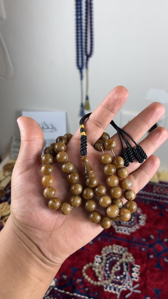 بكج فتوران كركوشه ٣ سبح