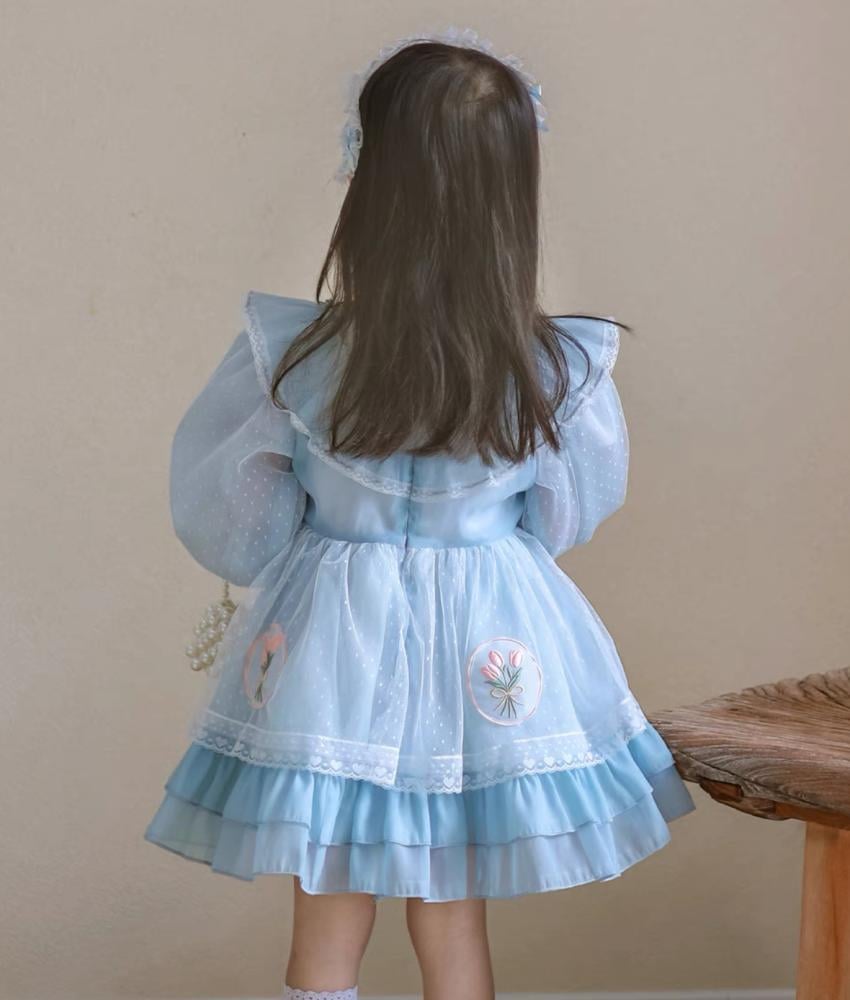 فستان اميرات سماوي