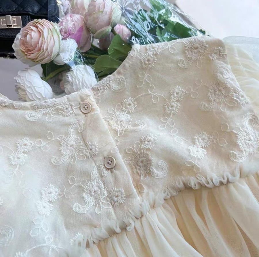 فستان بيج