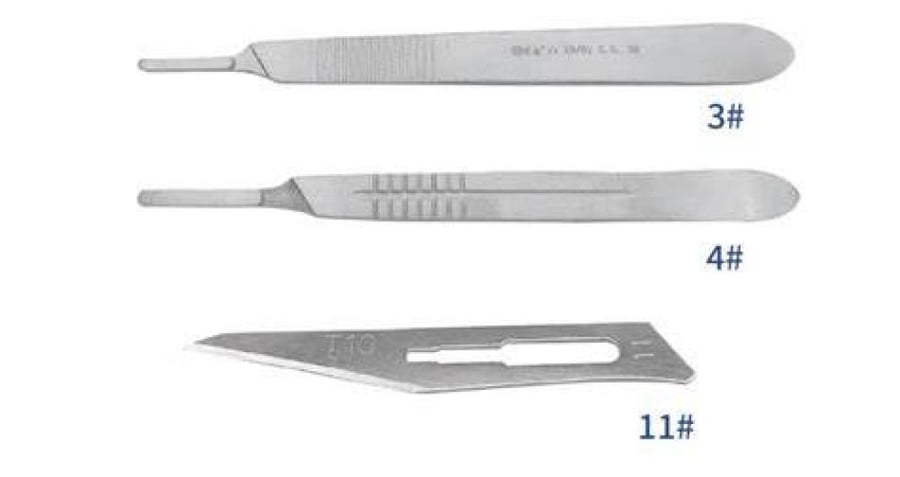 Scalpel Handle