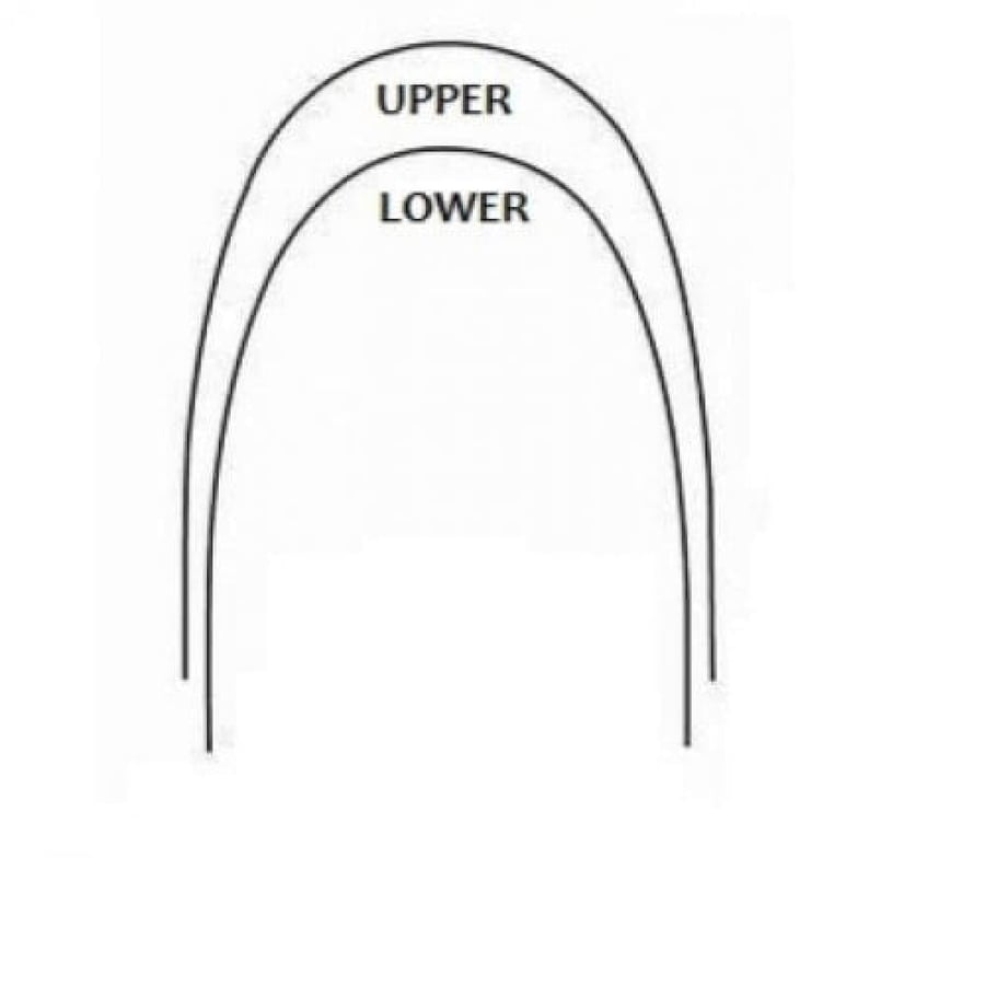 SS Full Form Upper 012 archwires 100 pk 8000 101