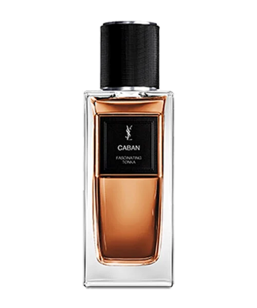 عطر إيف سان لوران كابان فاسينيتنغ 100 مل أو دو برفيوم مع مزيج من اللو