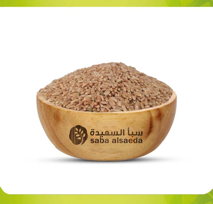 بُـــــر المــدينة
