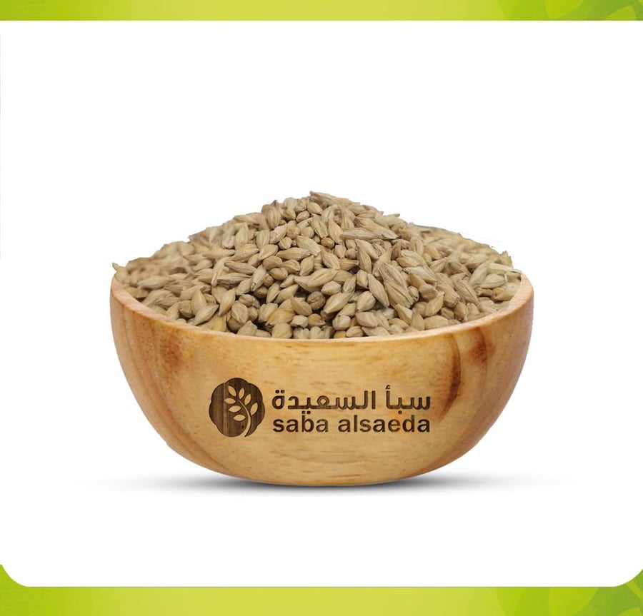 شعير قصيمي