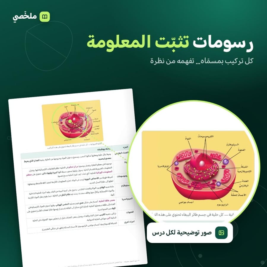 ملخص العلوم | سادس ابتدائي | الفصل الدراسي الأول