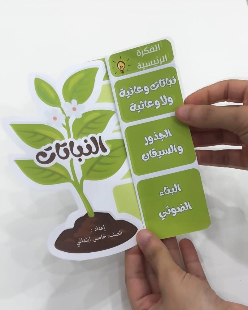 مطوية النباتات- علوم خامس ابتدائي