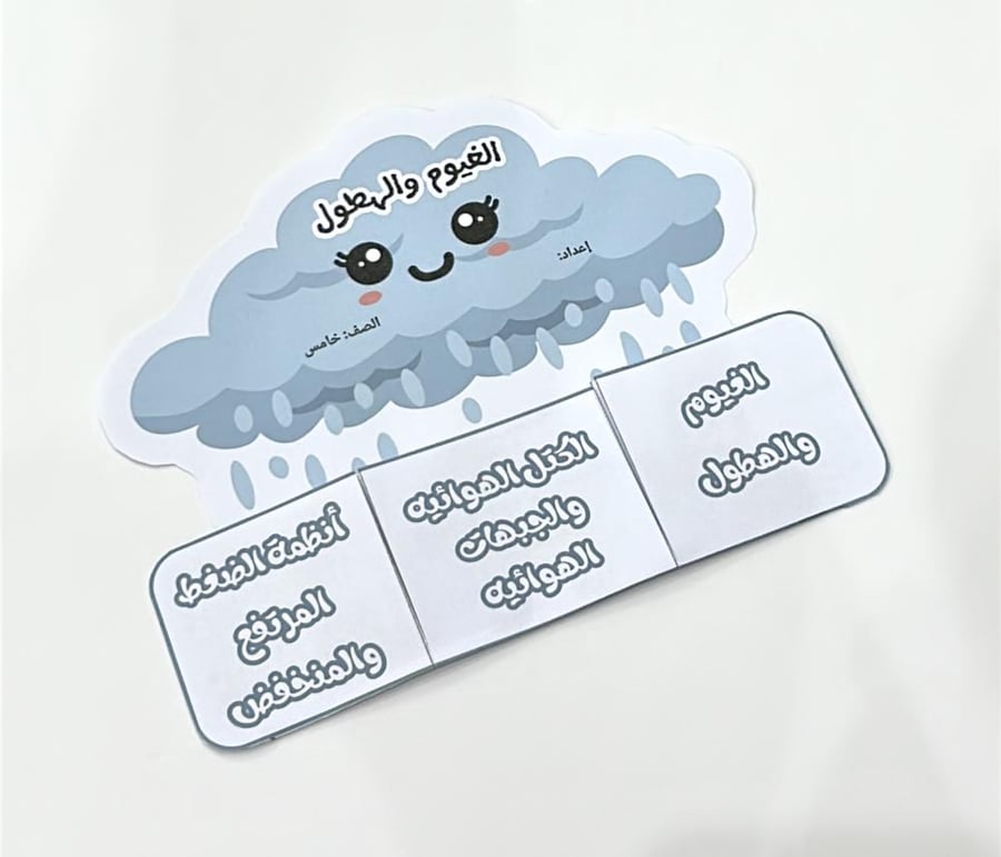 Clouds and precipitation brochure - Fifth grade elementary science