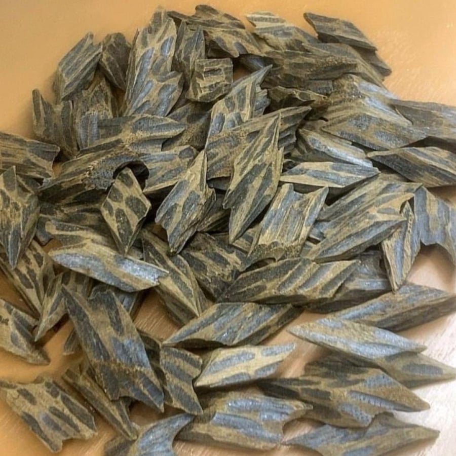 كمبودي تايغر ملكي