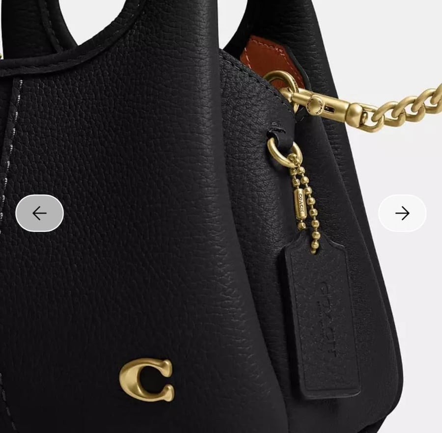 حقيبه كوتش المقاس الصغير Lana Shoulder Bag 19