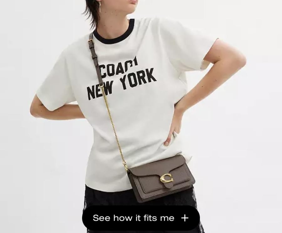 حقيبه كوتش Tabby Chain Clutch