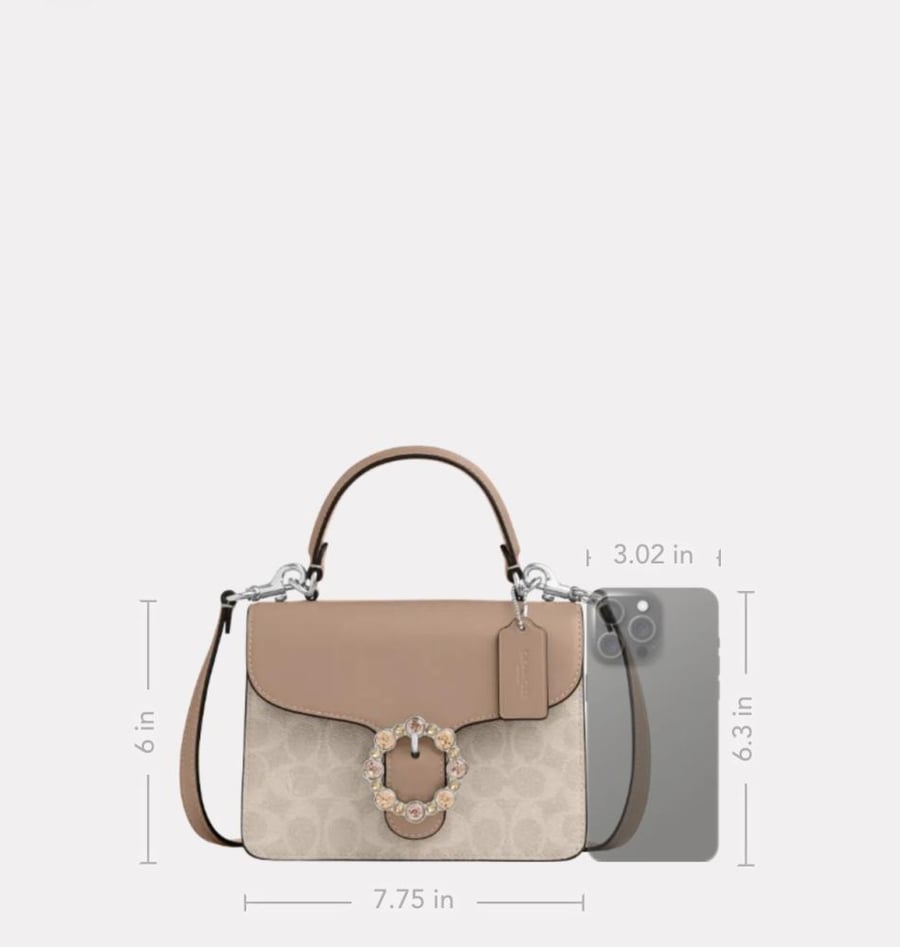 حقيبه كوتش Courtney Top Handle