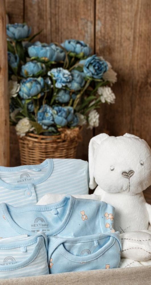 Gift box for a baby boy, luxurious, from Next – complete set with a teddy bear and soft cotton clothes