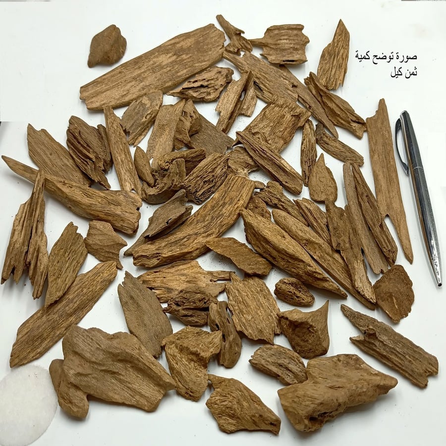 مروكي حي