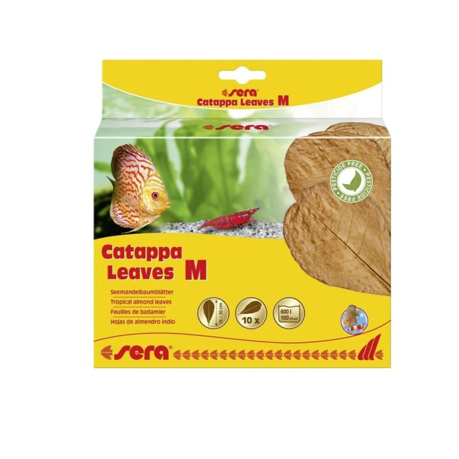 ورق الوز