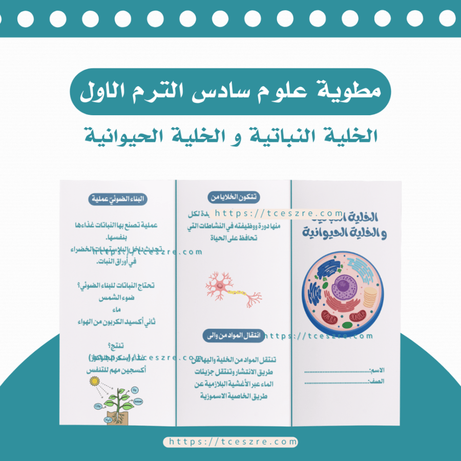 مطوية الخلية النباتية والخلية الحيوانية علوم لصف سادس الفصل الدراسي الاول pdf