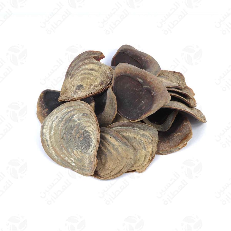 ظفرة كبيرة 250 جرام