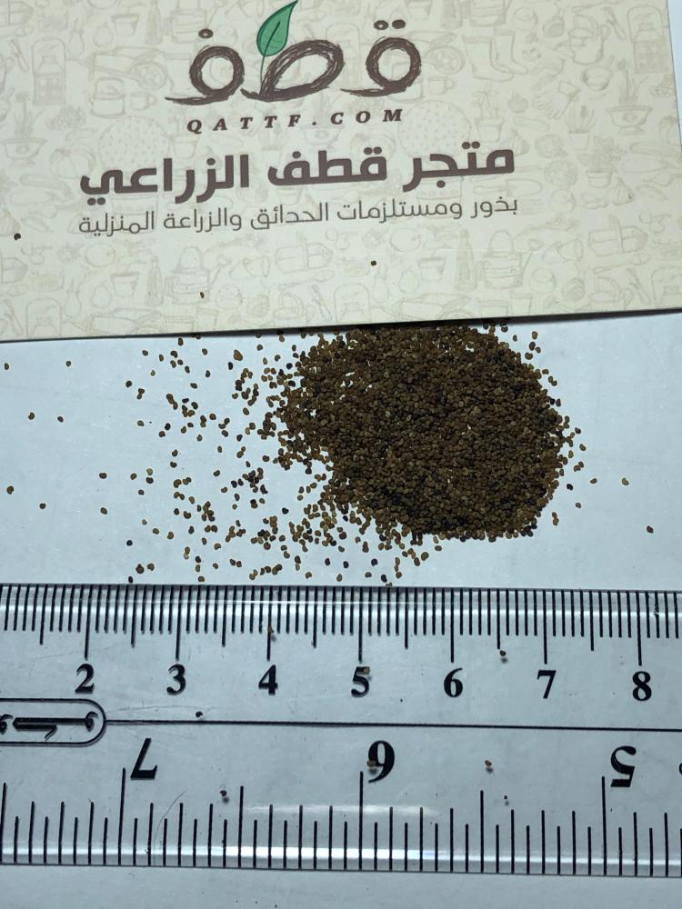 Colored Didehqan seeds, anemone flowers by weight