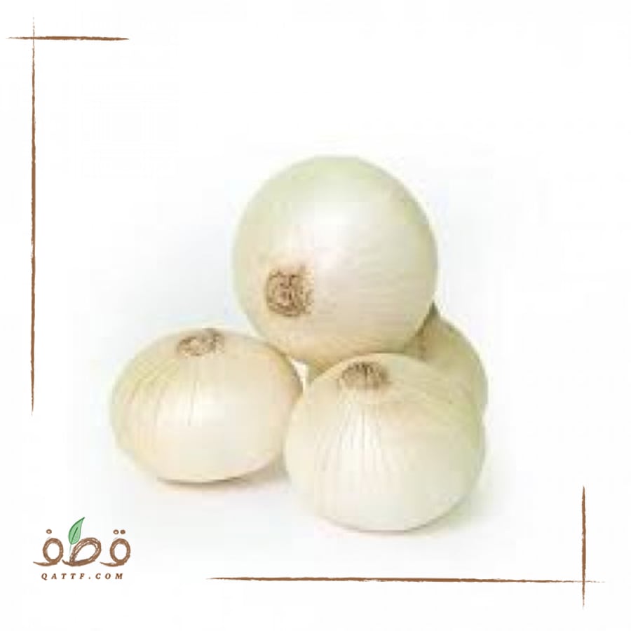 White onion seeds F1