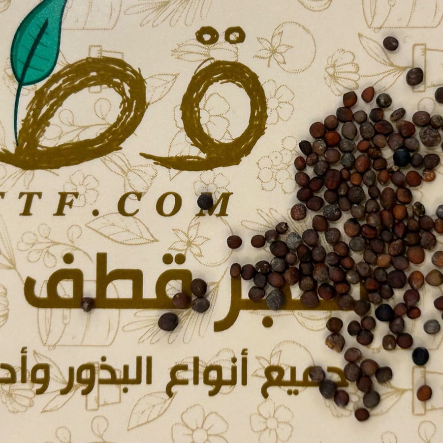 بذور براعم البروكلي ميكروجرين