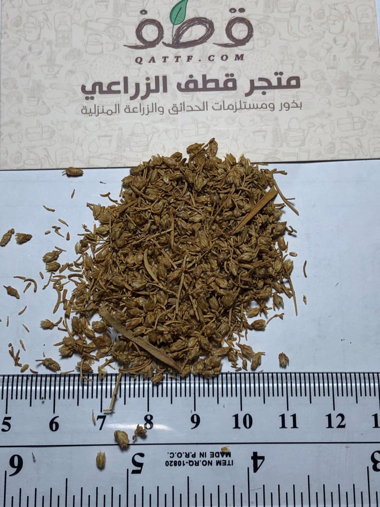 بذور العاذر