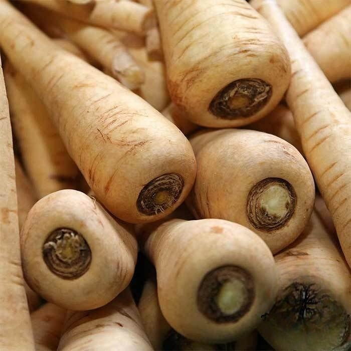 بذور الجزر الابيض