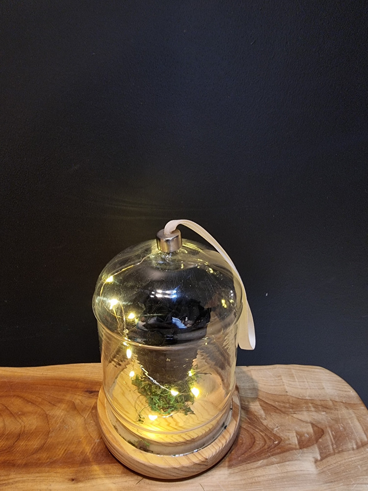A lasting rose for a year in a illuminated vase w132