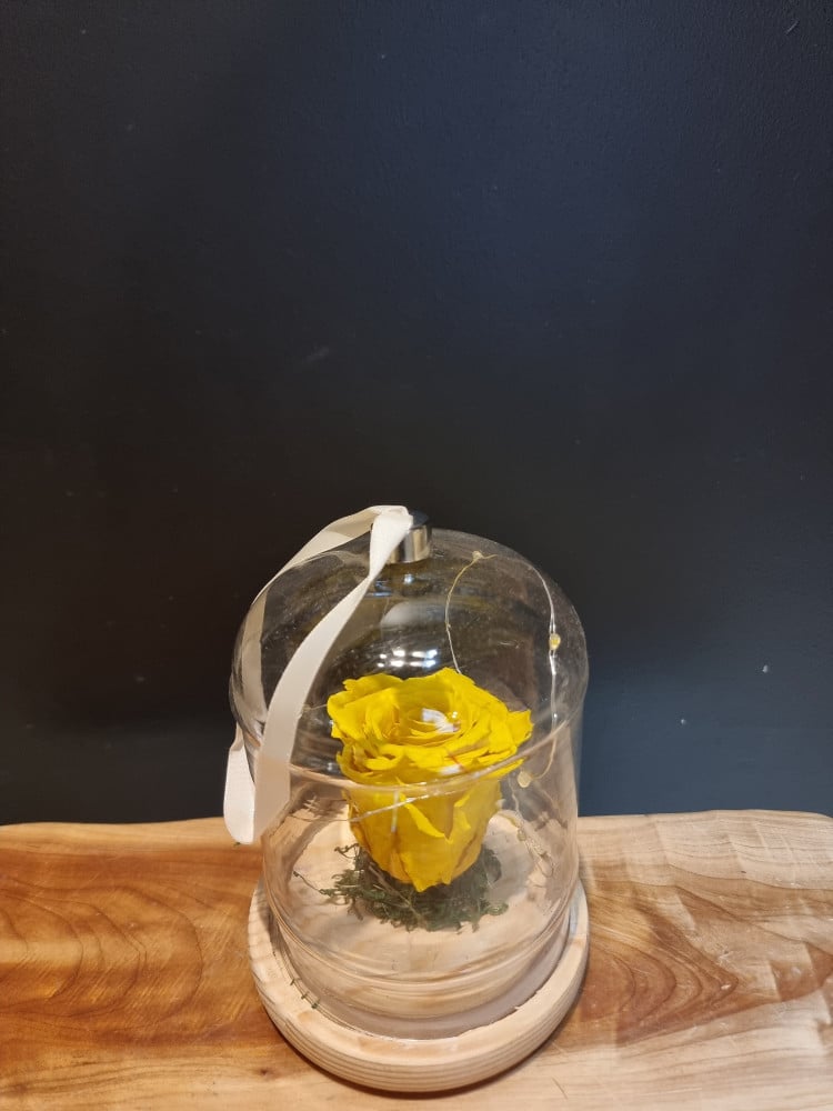 A lasting rose for a year in a illuminated vase w132
