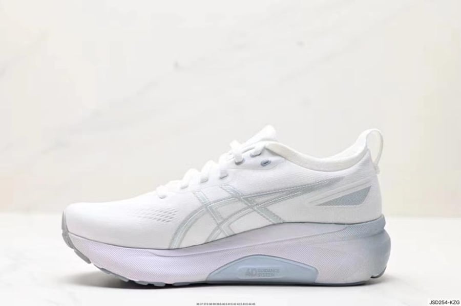 Asics Gel-kayano 31