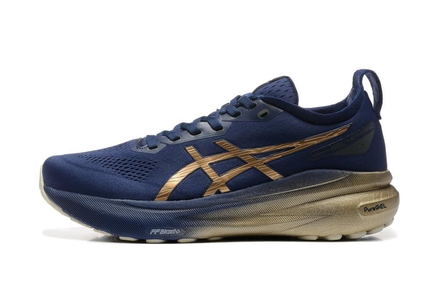 Asics Gel-kayano 31