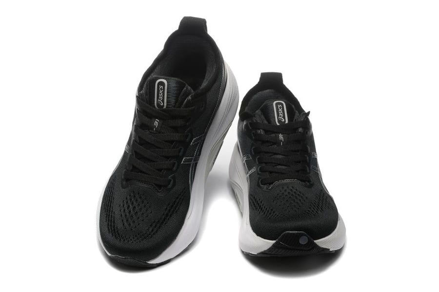 Asics Gel-kayano 31
