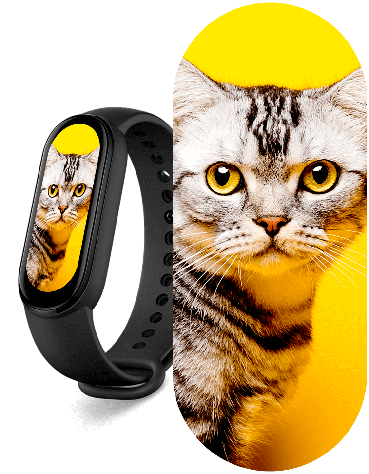 Mi Smart Band 6