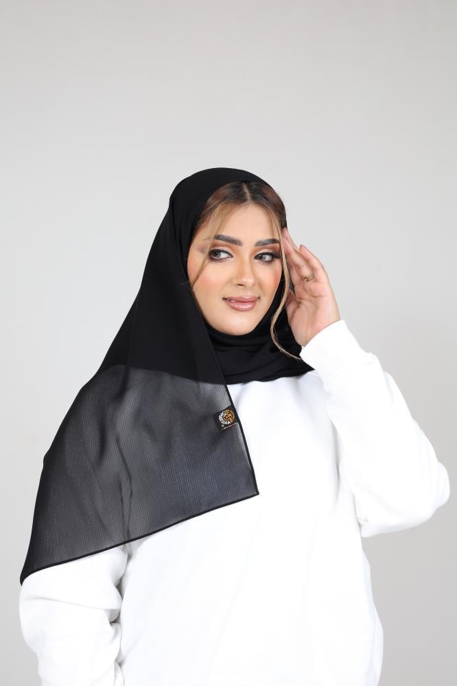 طرحة فانتاستيك أنيسة