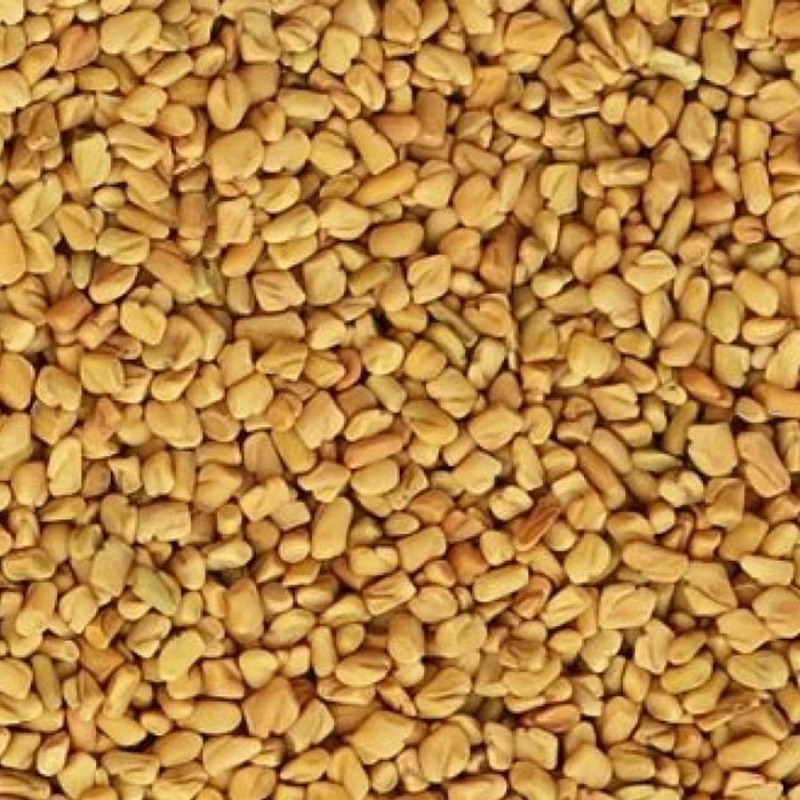 حلبة القصيم  (250 جرام)