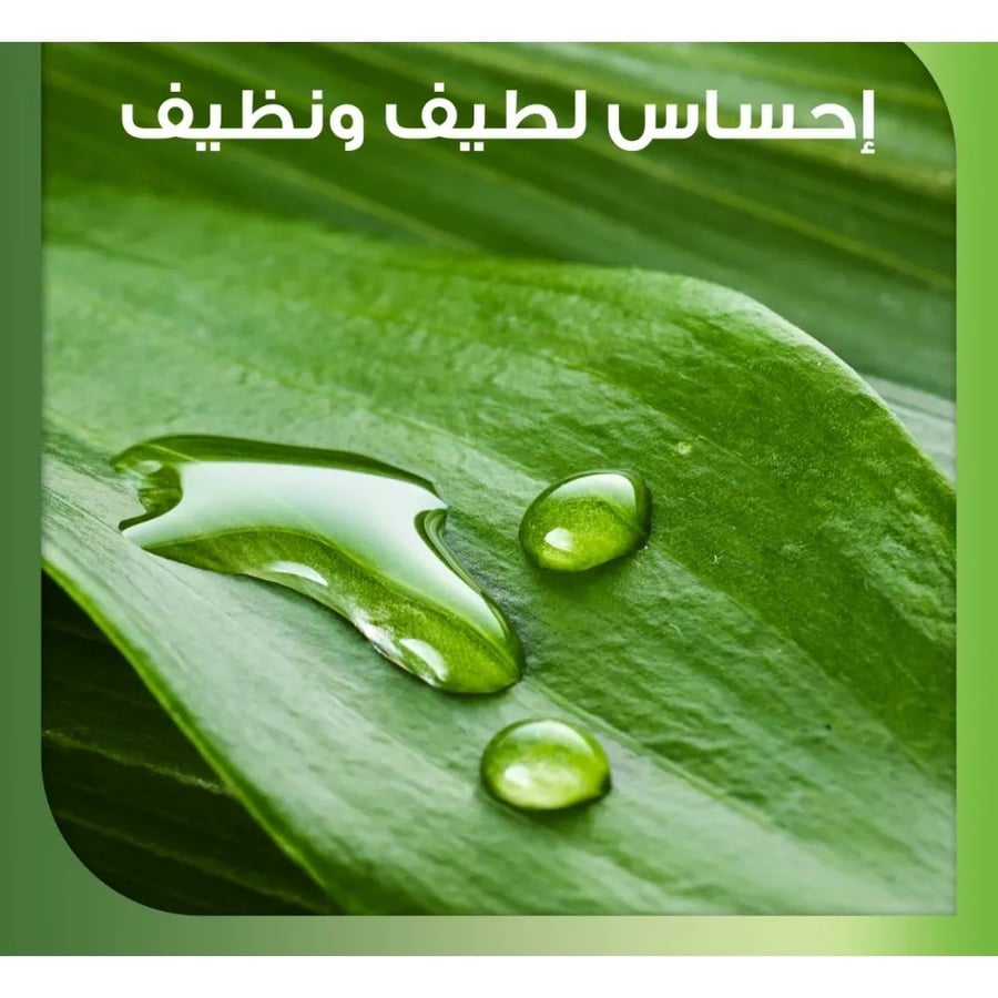 سنسوداين نورش ملطف بعناية معجون أسنان مع مستخلص النعناع الطبيعي والصبا