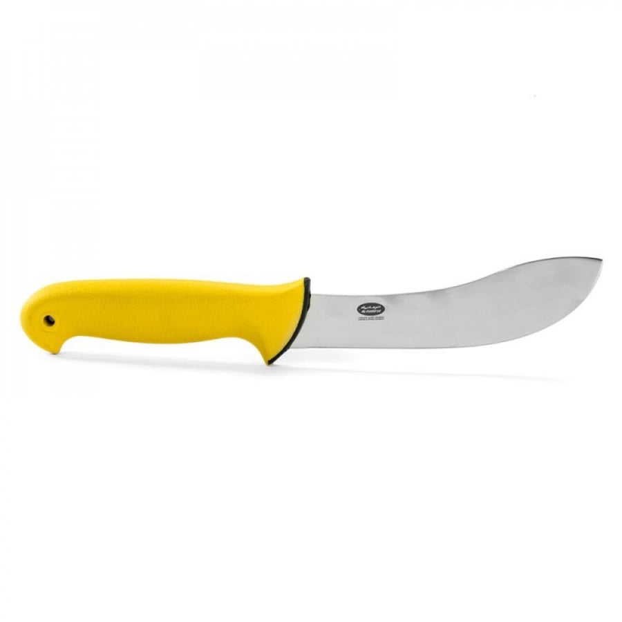 Spanish Arcus knife used for skinning, slaughtering, and cutting, length 16 cm