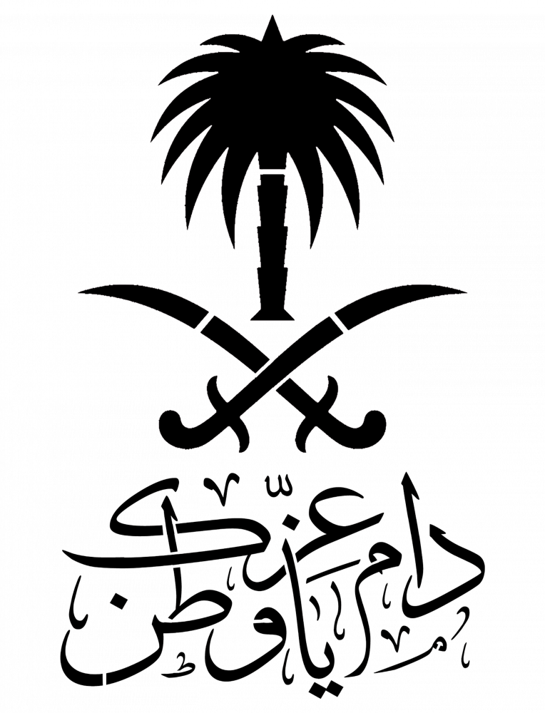 استينسل ( دام عزك ياوطن )