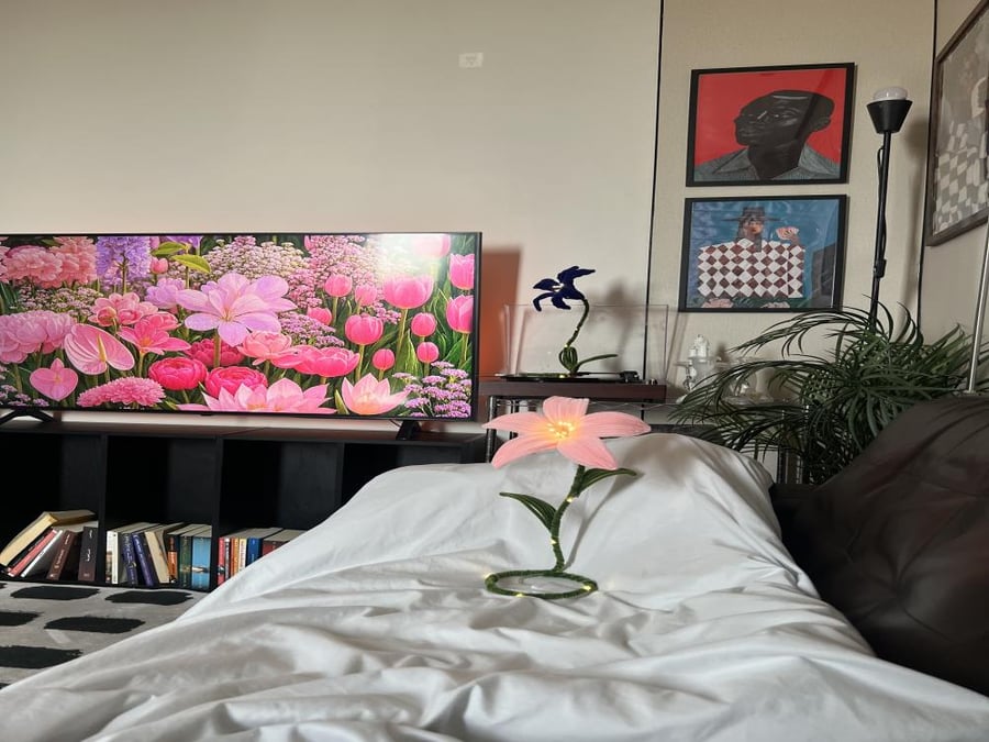 Luminous rose_lily
