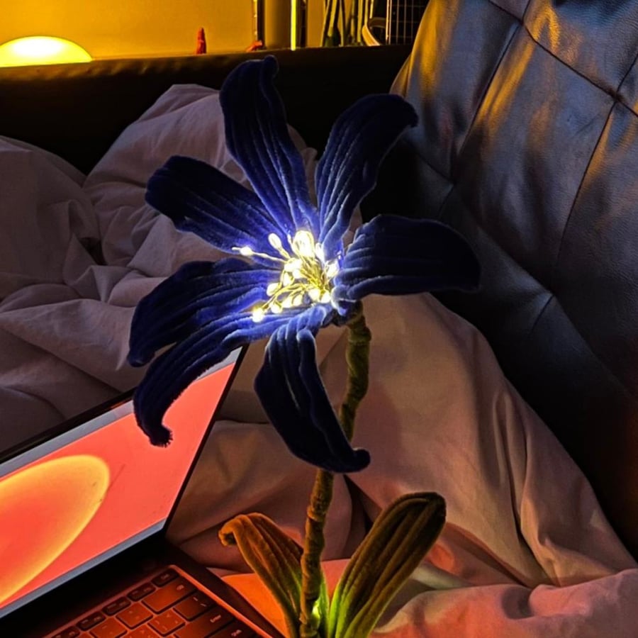 Blue night rose