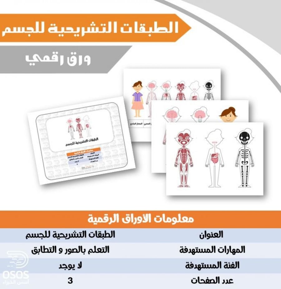 التعلم الفردي التعليم الأطفال الصغار عن بعد قراءة أسس أوراق عمل