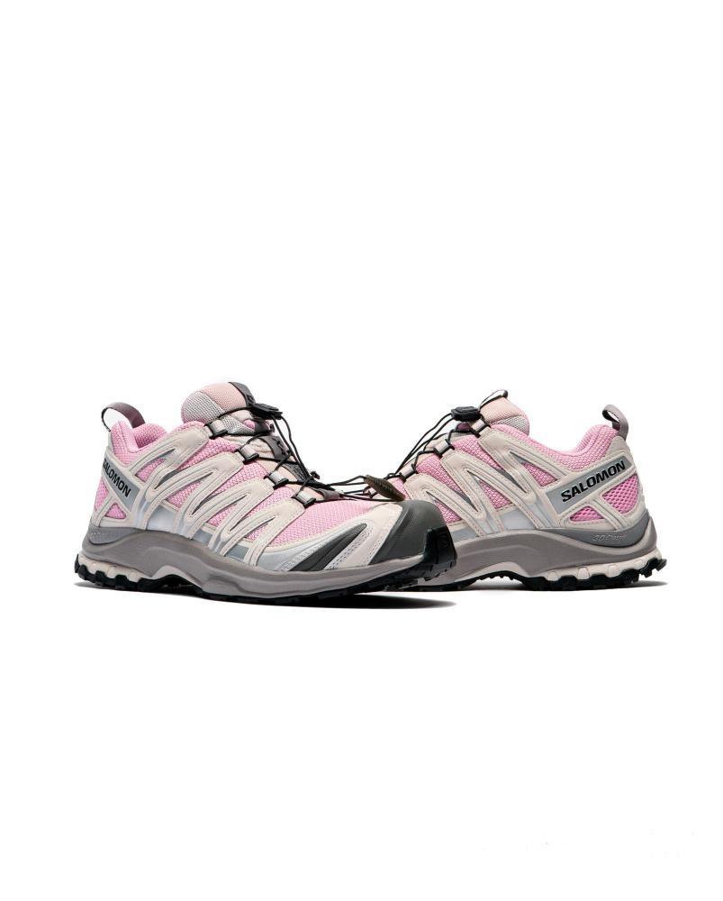 Salomon XA Pro 3D Xakura Pink Frosting / Lilac Ash / Gull