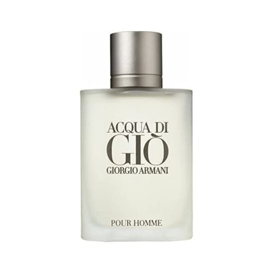 Acqua di Giò Giorgio Armani perfume for men Eau de Toilette 100 ml