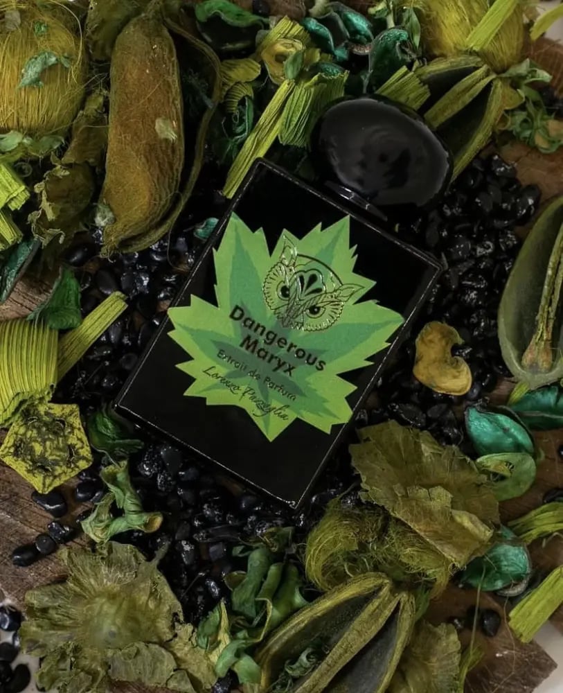 عطر لورينزو بازاجليا داينجريس ماريكس اكستريت دو بارفيوم 50 مل