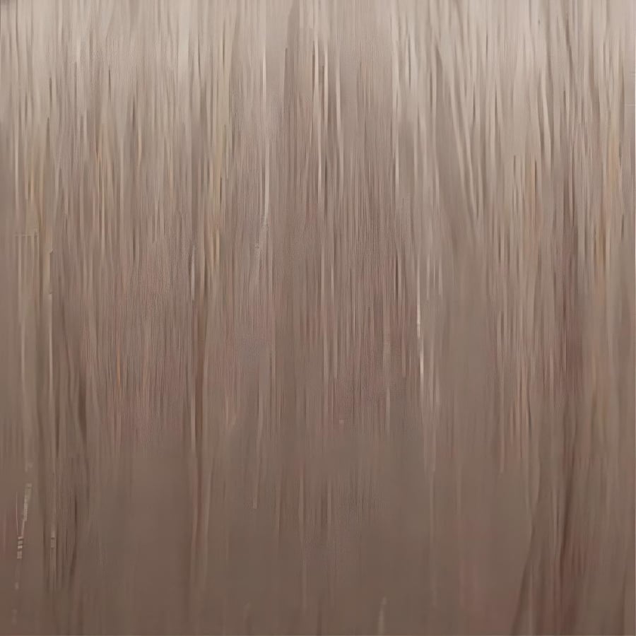 8005610542003 1