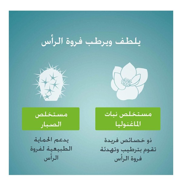 تونيك لفروة الرأس حماية وراحة من نيزورال كير - 100 مل
