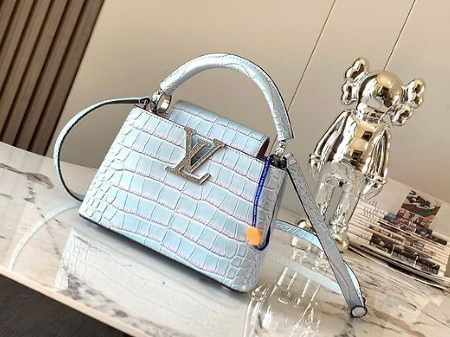Louis Vuitton Rosita bag