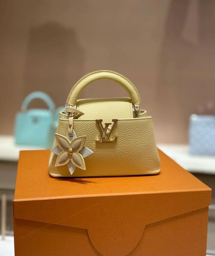Louis Vuitton Capucine Mini Bag 21cm Beige Gold
