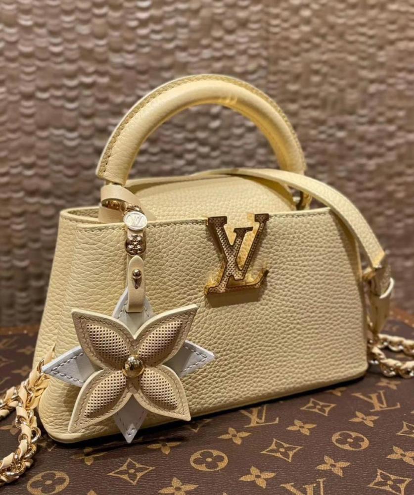 Louis Vuitton Capucine Mini Bag 21cm Beige Gold