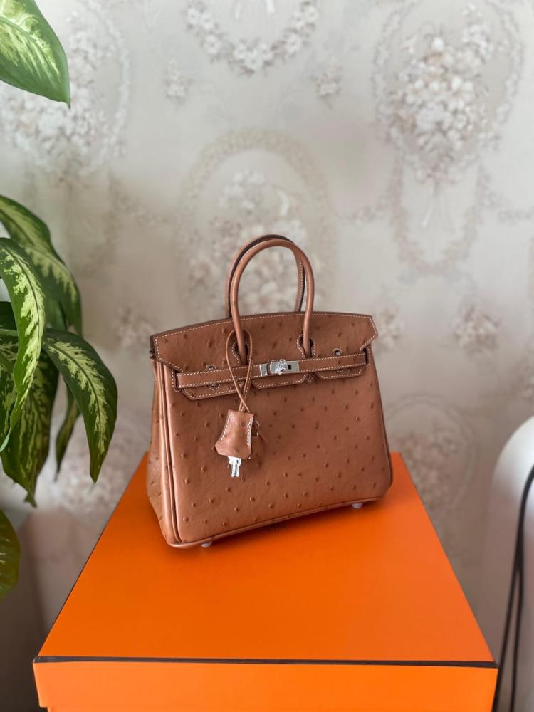 Hermes Birkin 25cm bag in luxurious honey color with handles
